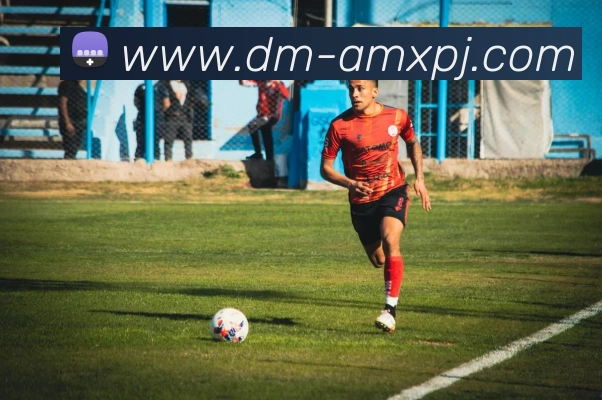 新葡京娱乐发展历程